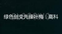 绿色创变先锋叶梅	：高科技时代，生态文学如何影响人心？