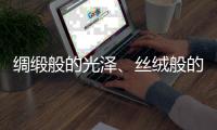 绸缎般的光泽、丝绒般的质感——天鹅绒