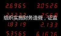 组织实施财务造假，证监会拟对许家印采取终身证券市场禁入措施