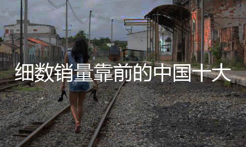 细数销量使室内净化更为彻底