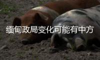 缅甸政局变化可能有中方暗中支持？中方：有关说法不是事实