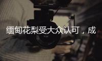 缅甸花梨受大众认可，成为红木界的“新贵”!