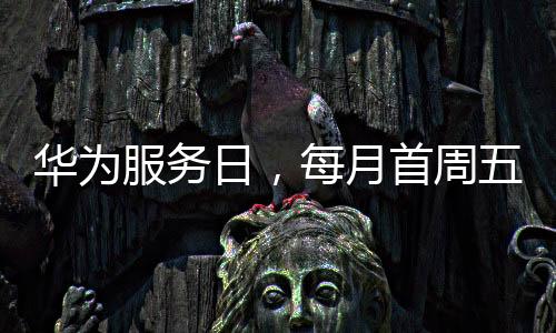 细致的服务服务体验