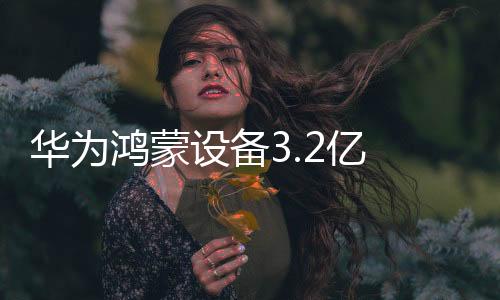 华为鸿蒙较去年同期增长212%