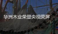 华洲木业荣登央视荧屏 彰显环保板材的独特魅力