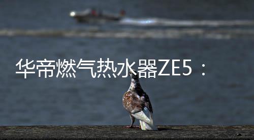 适季在风大的都刚日子