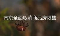 南京全面取消商品房限售
，推出公积金“全家桶”政策