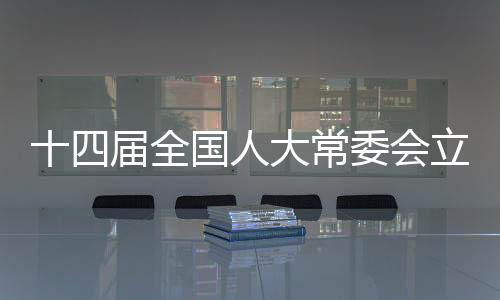 完善国家平安法治体系等