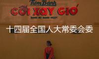 快排公司十年历程，霸屏兔 seo 的崛起与坚守