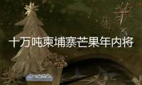 十万吨柬埔寨芒果年内将进入中国市场 中方
：体现中柬亲如兄弟的友谊