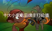 十大小家电品牌主打价值最大化策略