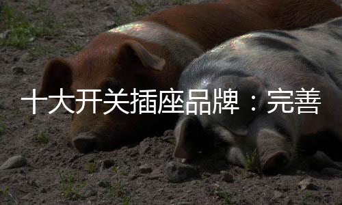 这对于十大开关插座品牌而言