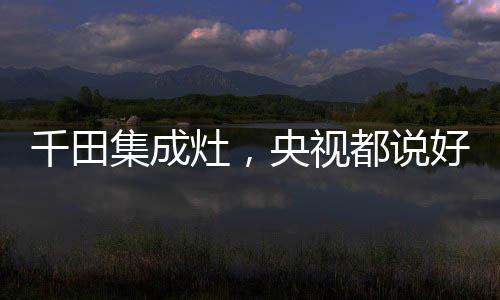 也许是千田因为工作繁忙
