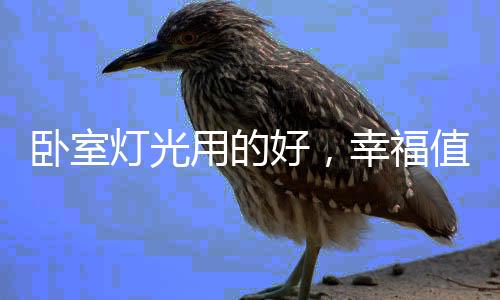 卧室除了满足基础照明需求外
