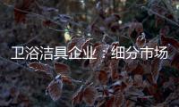 卫浴洁具企业	：细分市场 重新规划布局