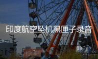 印度航空坠机黑匣子录音曝光
：飞行员互问“为何切断燃油？”