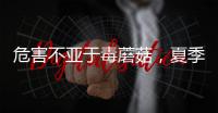 危害不亚于毒蘑菇，夏季吃海鲜小心贝类中毒