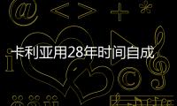 卡利亚用28年时间自成一派，全钢派!