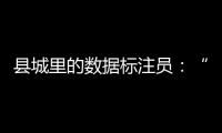县城里的数据标注员：“有多少智能，就有多少人工”