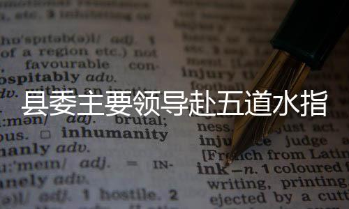导赴道水学习借鉴先进经验