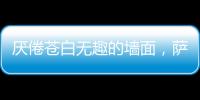 厌倦苍白无趣的墙面�，萨拉玛艺术漆给你惊艳想象!