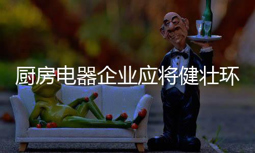 迎合市场多元化的需求