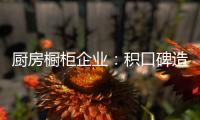 厨房橱柜企业
：积口碑造精品 重营销讲服务