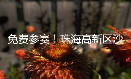澳门居民亦可组队参赛