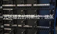 光环褪去的特斯拉，这条“鲶鱼”如何面对自主围攻	？