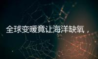 全球变暖竟让海洋缺氧，3亿年前气候状态警示危机