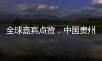 全球嘉宾点赞，中国贵州正点绿成“金”
