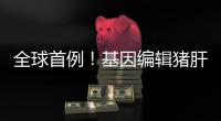 全球首例
！基因编辑猪肝脏 被移植到人体