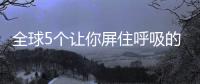 快排公司十年历程，霸屏兔 seo 的崛起与坚守