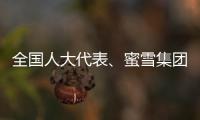 全国人大代表	、蜜雪集团赵红果�：建议新式茶饮建立国家标准