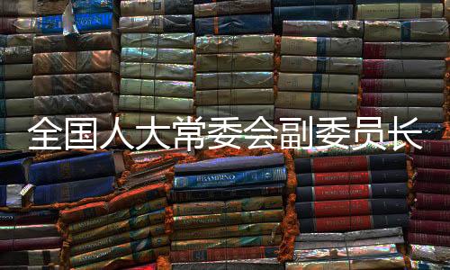 受全国人大常委会委托