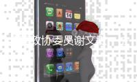 全国政协委员谢文敏：法院判决无法执行

，相当于法律“白条”
