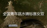 全国青年跳水锦标赛女双十米台	�：陕西组合崔家溪/王韵晗夺冠