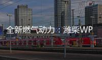 全新燃气动力
：潍柴WP3NNG