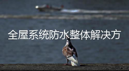 外墙涂料等全屋防水涂料