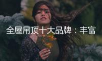 全屋吊顶十大品牌：丰富产品线 发挥自身优势