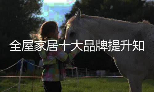 对于全屋家居十大品牌而言