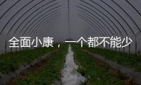 全面小康
，一个都不能少
