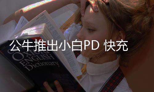 快充快充作为一款PD 充电器