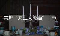 共护“海上大熊猫”！市民积极参与中华白海豚保护宣传日活动