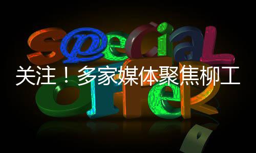 媒体多个行业KOL聚焦柳工