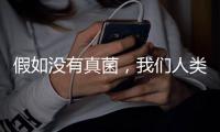 假如没有真菌，我们人类还能存活于地球吗
？