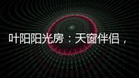叶阳阳光房：天窗伴侣，静音降温�，防虫去热，享受清凉!
