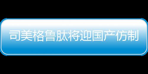 向原告陆巍赔礼道歉