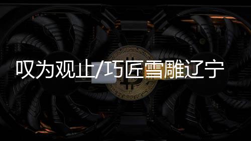 除巨型航母雪雕外