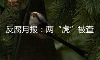 反腐月报	：两“虎”被查
，三“虎”受处分